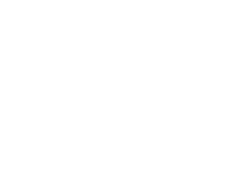 DigiCraft